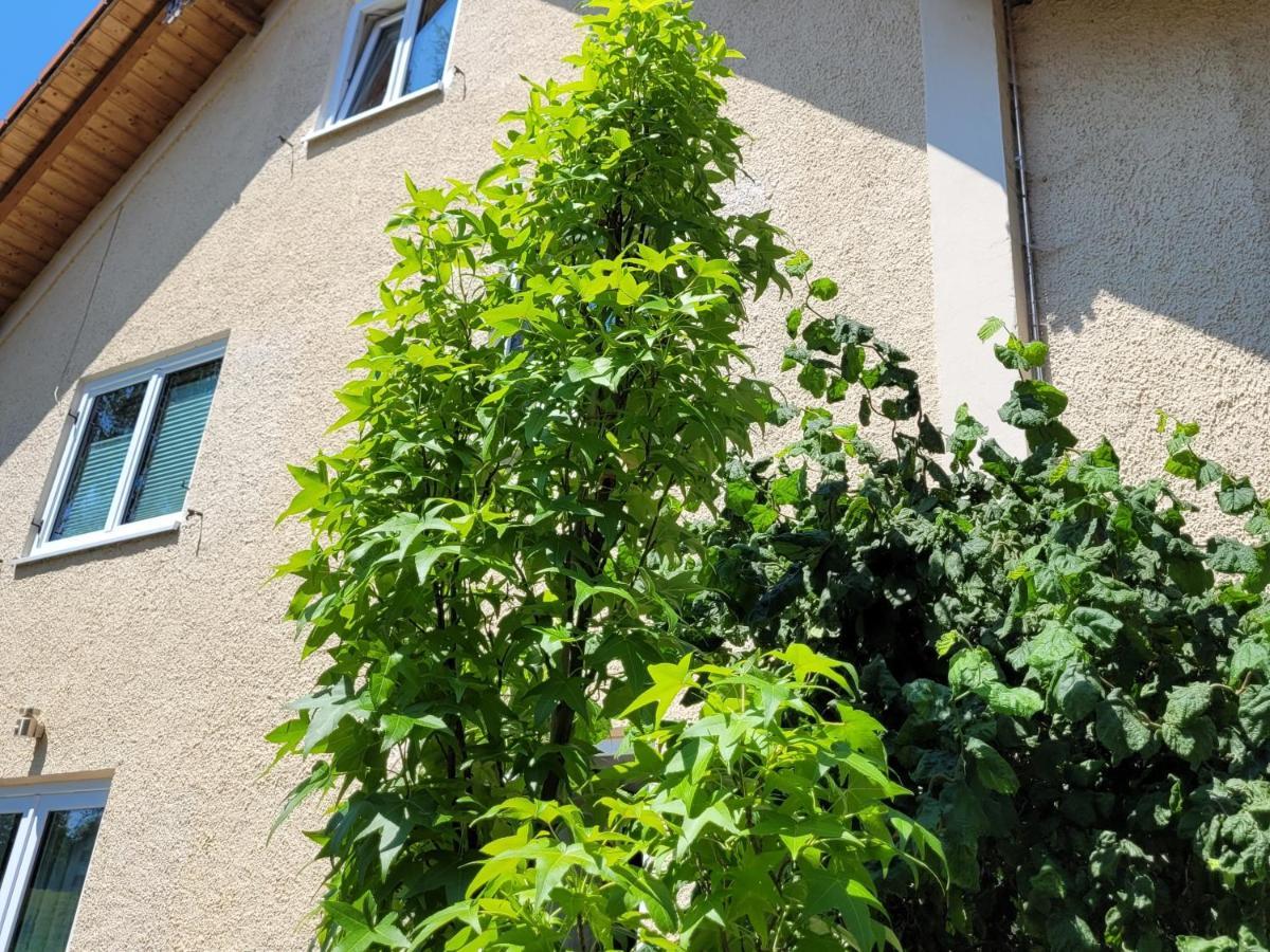 I24Rooms - Gaestezimmer Mit Eigenem Garten Legau ภายนอก รูปภาพ